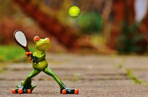Frog Tennis player