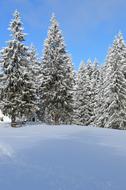 Winter Scene in the mountains