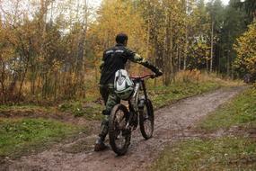 Cycling Sports in Autumn forest