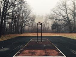 Basketball Court and trees