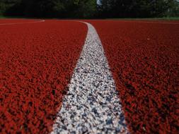 Line Mark Stripe on sports ground