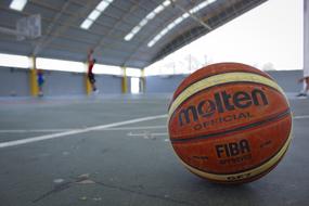 Sports Basketball molten
