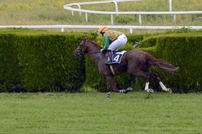 Person on the horse, on the green racecourse, on the horse racing competition