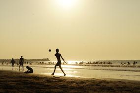 children play on the beach with a ball on a sunset background