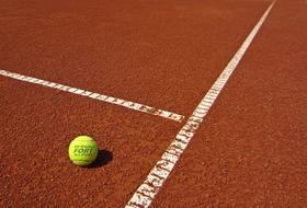 ball on the tennis field