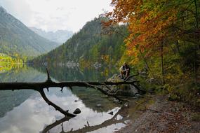 man sits on rock on lakeshore at fall, Austria, Ellmau