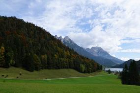scenic forested mountains at summer, Austria, Ellmau
