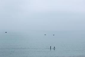 paddle sports on the water