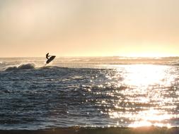 jumping in the waves of the ocean