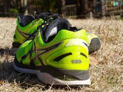 Shoes Running Sport green