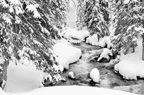 Beautiful landscape of the snowy stream in Haute-Savoie, France, with trees, in winter