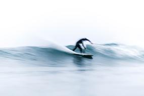 Surfer on the blue and white wave, in motion
