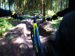 mountain bike racing in the forest