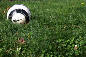 Soccer Ball with nike logo on grass