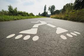 Road, with the sign of the skating person, among the colorful plants