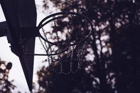 Architecture Athletics