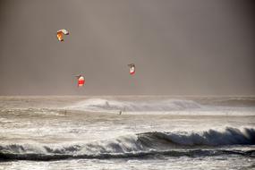 People, doing windsurfing on the colorful parachutes, above the ocean, with the waves, in light