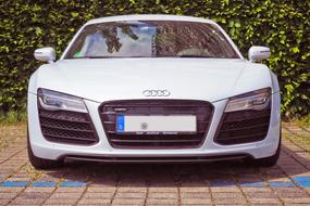 white Audi Auto