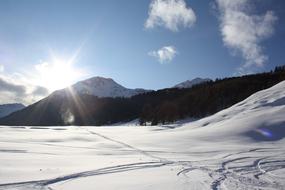 Beautiful, snowy mountain, in sunlight, near the trees, under the blue sky with white clouds