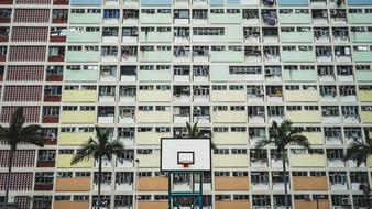 Beautiful basketball court near the green palms and colourful building