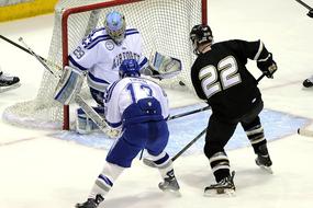 Ice Hockey Players persons