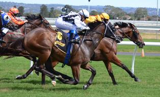 horse racing in blurred background
