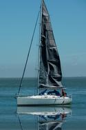 sailboat on calm water at sea