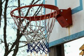 Basket Basketball old abd trees