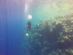 Diver Palau Drop