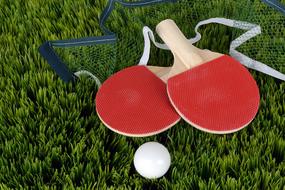 Tennis Ping-Pong Bats on green grass