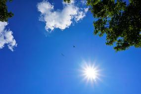 bottom view of the bright sun in the blue sky