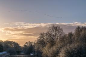 landscape in winter