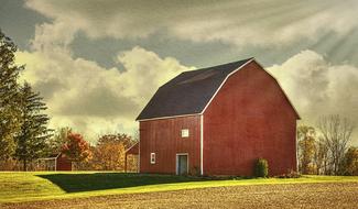 Rustic Barn Sun