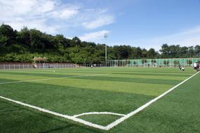 Sport Football Exercise