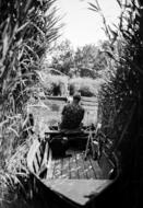 fisherman on a boat in the reeds in black and white background