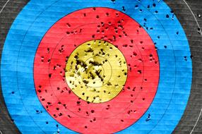 Target Archery Sport disc