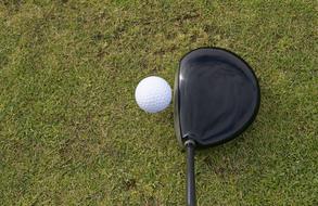 white Golf Ball green grass