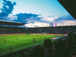 Football Soccer Field people