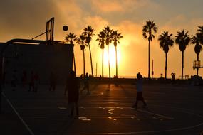 Sunset Basketball Court and palms