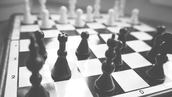 Board Chess Black And White