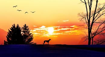 Morgenstimmung Sunlight landscape