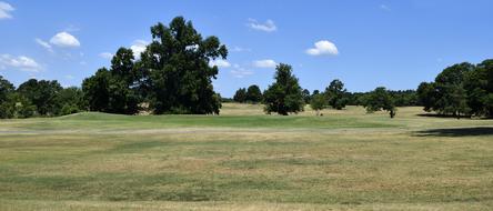 Golf Grass Course landscape