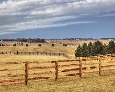 Scenery Fence Trees and dry grass