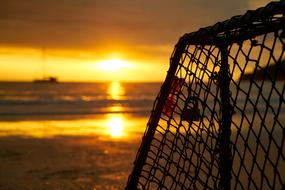 Landscape Sunset gold