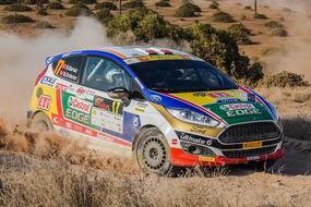 goodlyRally Race Car