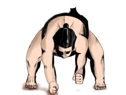 sumo wrestling sports