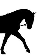 horse silhouette pony drawing