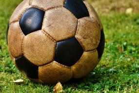 Football Ball green grass
