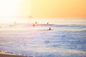 Ocean Water surfing people