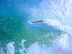 Surfing on Waves on sea